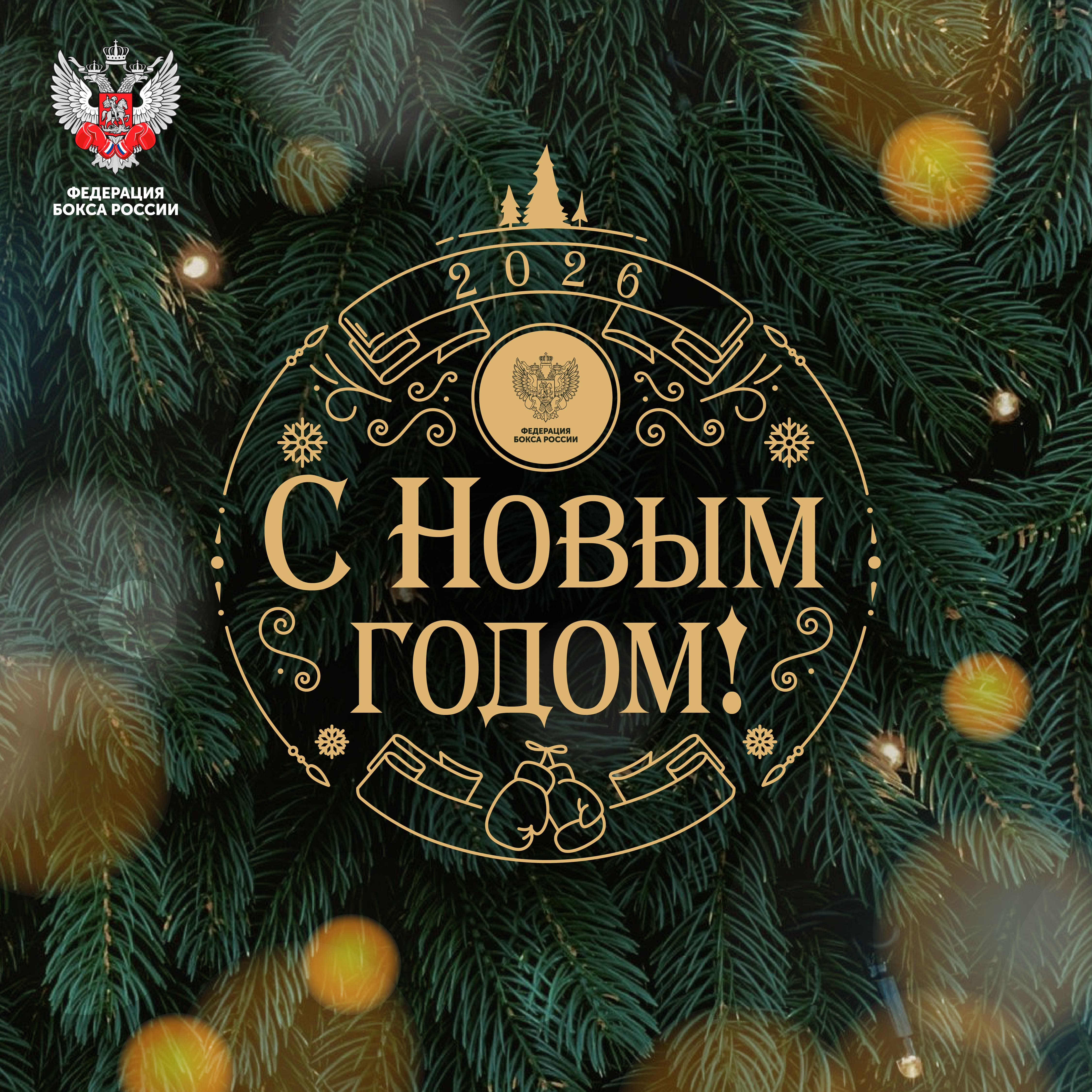 Поздравление генерального секретаря Федерации бокса России